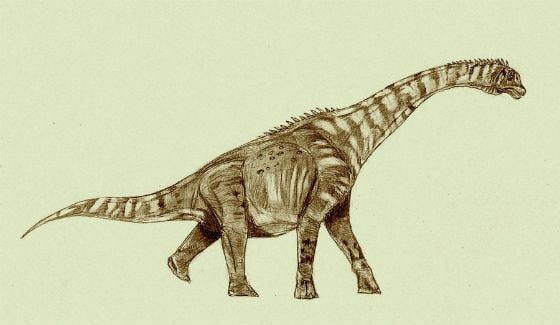 Venenosaurus wwwrareresourcecomimagesVenenosaurusjpg