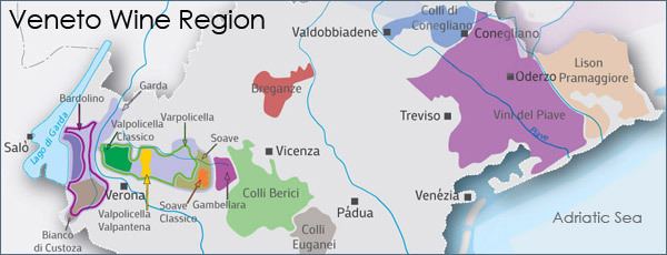 Veneto wine The Wine Guy Veneto Wine Region