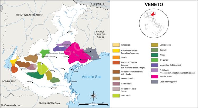 Veneto wine Veneto Map of Vineyards Wine Regions