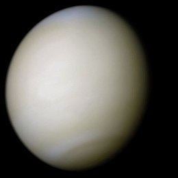 Venus Venus Wikipedia