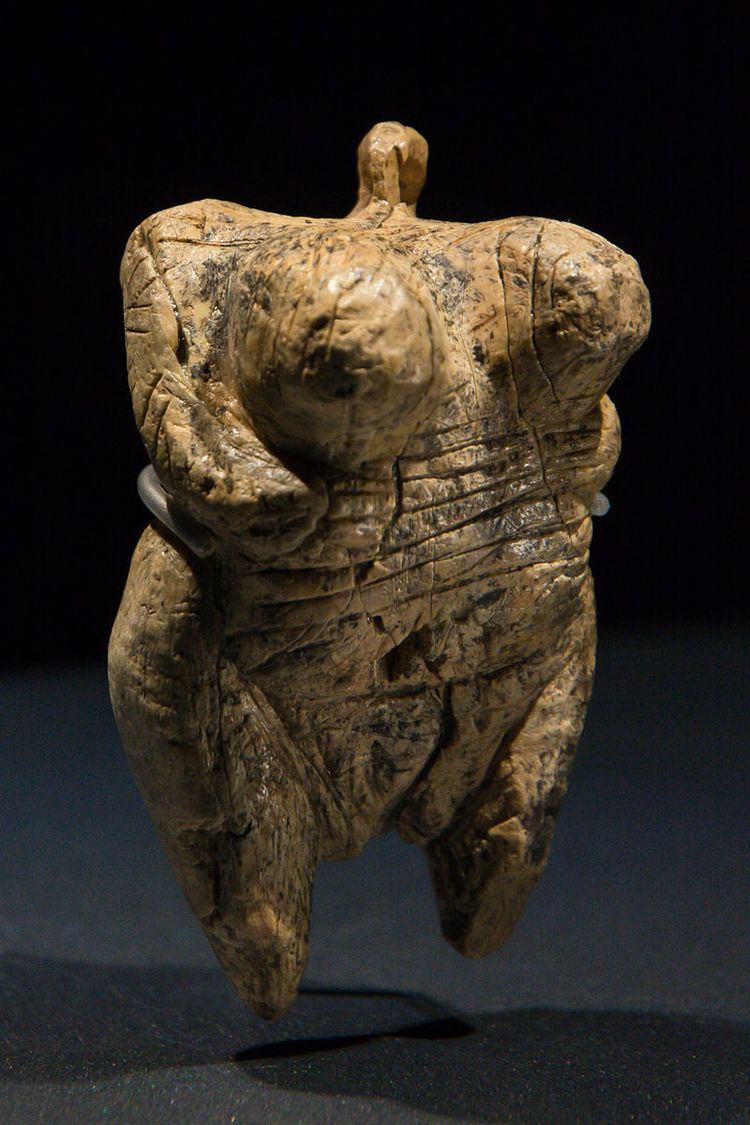 Venus figurines