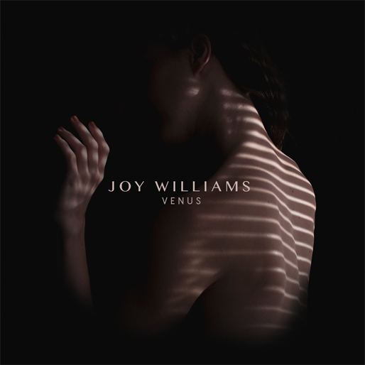 Venus (Joy Williams album) httpscdnpastemagazinecomwwwarticlesJoy20W