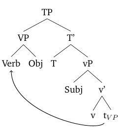 Verb-initial word order