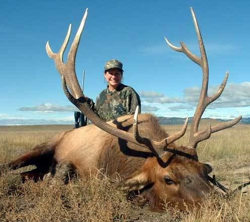 Vermejo Park Ranch New Mexico trophy elk hunts on private ranch bordering Vermejo Park