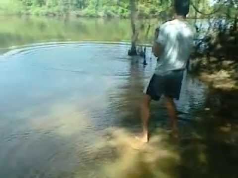 Vermelho River (Araguaia River) httpsiytimgcomvi5eXbryN906ohqdefaultjpg