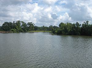 Vermilion River (Louisiana) httpsuploadwikimediaorgwikipediacommonsthu