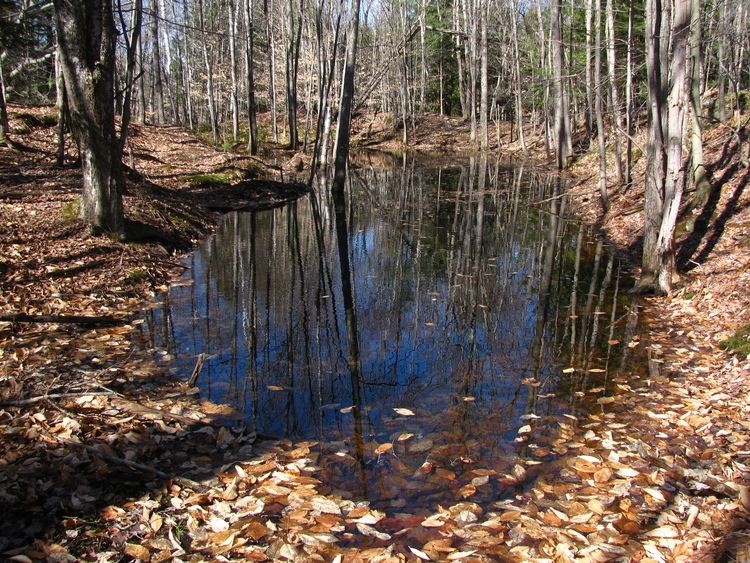 Vernal pool VCE Expands Vernal Pool Conservation Work Vermont Center for