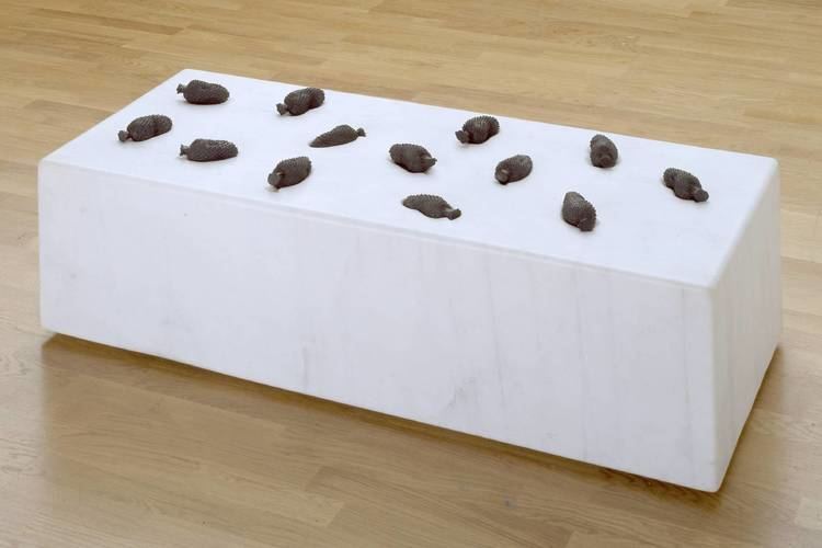 Veronica Ryan Quoit Montserrat Veronica Ryan 1998 Tate