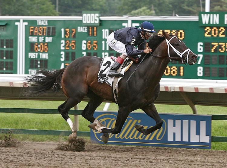 Verrazano (horse) Verrazano Successfully Navigates G3 Pegasus Stakes Featured