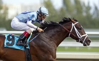 Verrazano (horse) Coolmore purchases interest in Verrazano Daily Racing Form