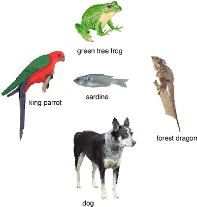 Vertebrate of vertebrates