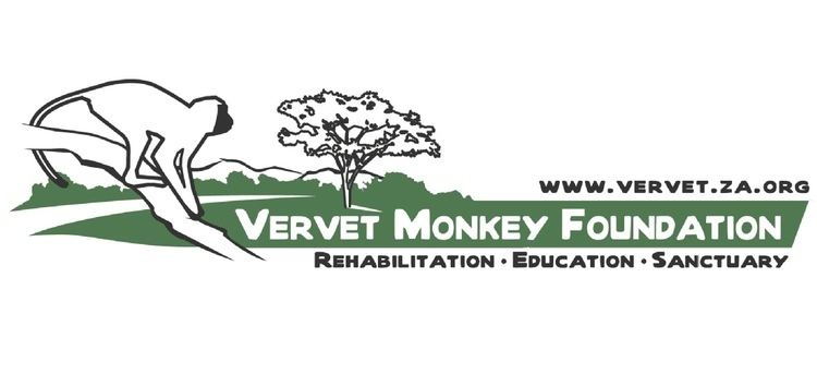 Vervet Monkey Foundation d141thk7ygtt3ccloudfrontnet9f0ae60bf2ec49e5b