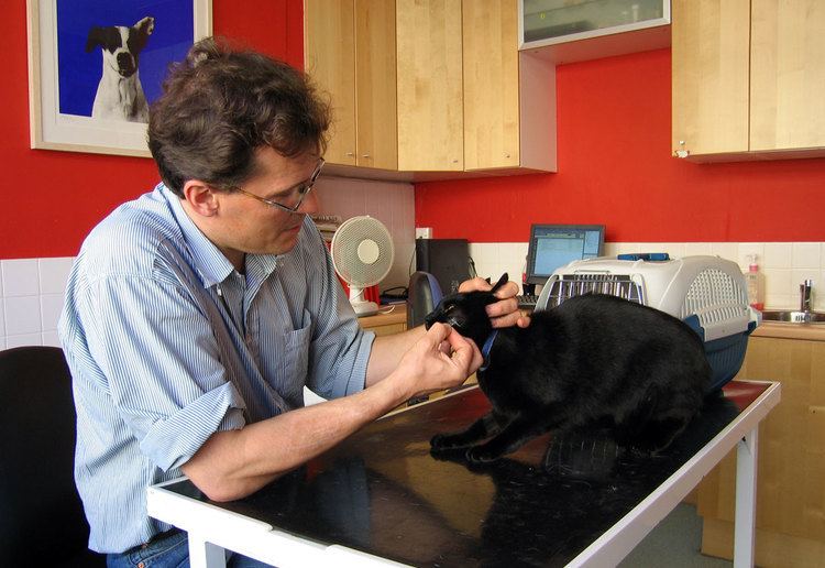 Veterinary medicine in the United Kingdom