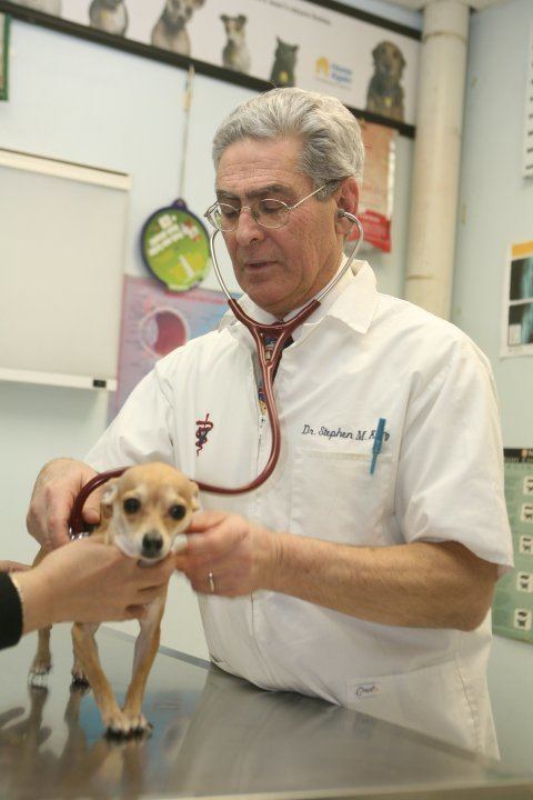 Veterinary medicine in the United States
