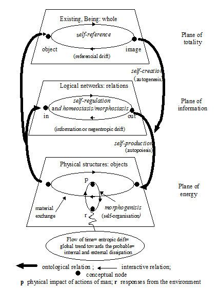 Viable system theory
