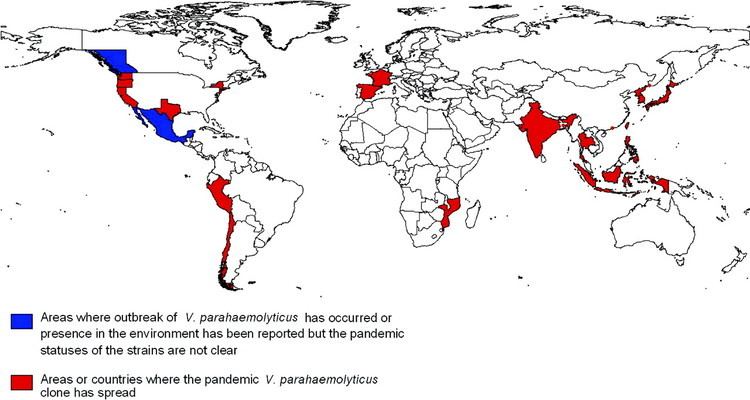 Vibrio parahaemolyticus Global Dissemination of Vibrio parahaemolyticus Serotype O3K6 and