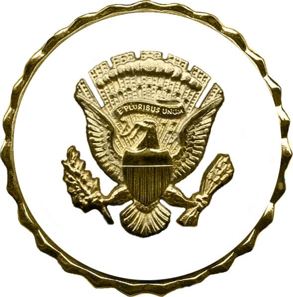 Vice Presidential Service Badge