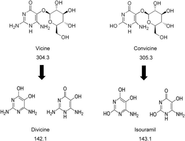 Vicine Figure 1 Molecular structures of vicine convicine and their