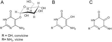 Vicine Determination and stability of divicine and isouramil produced by