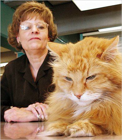 Vicki Myron Iowa Library39s Cat Has a Rich Second Life as a Biography