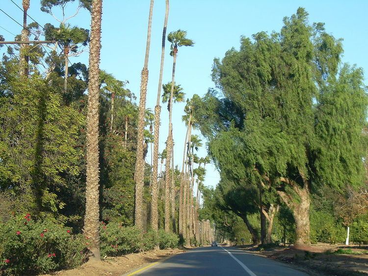 Victoria Avenue (Riverside, California)