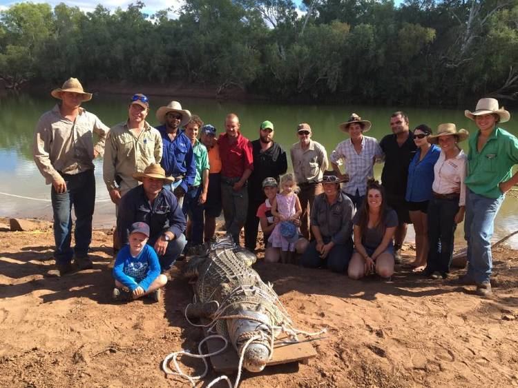 Victoria River Downs Station Rangers bag 375m cattleeating croc The Courier