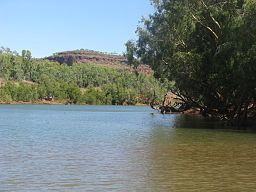 Victoria River (Northern Territory) httpsuploadwikimediaorgwikipediacommonsthu