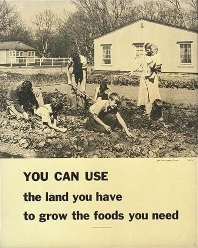 Victory garden The National WWII Museum New Orleans Learn For Students WWII at