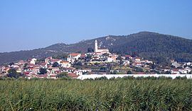 Vid, Croatia httpsuploadwikimediaorgwikipediacommonsthu