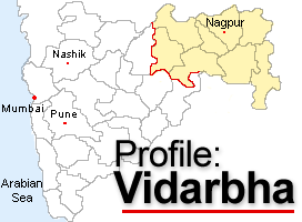 Vidarbha Vidarbha Performance counts