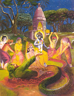 Vidyadhara The Hare Krsnas Krsna39s Vrindaban Pastimes The Serpent Vidyadhara