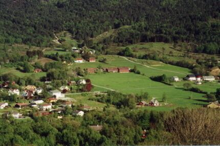 Vikebygd (municipality)