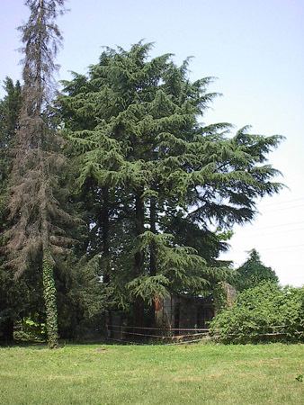 Villa Brivio, Brugherio