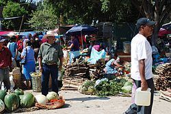 Villa de Zaachila httpsuploadwikimediaorgwikipediacommonsthu