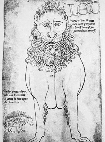 Villard de Honnecourt Ms Fr 19093 fol24v Lion and Porcupine Villard de