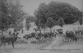 Villiers-aux-Corneilles httpsuploadwikimediaorgwikipediacommonsthu