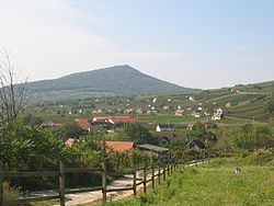 Villány Mountains httpsuploadwikimediaorgwikipediacommonsthu