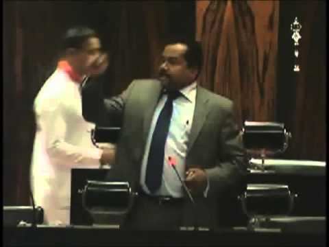 Vinayagamoorthy Muralitharan MP Karuna Amman Blasts UNP TNA In Sri Lanka Parliament 2015 YouTube