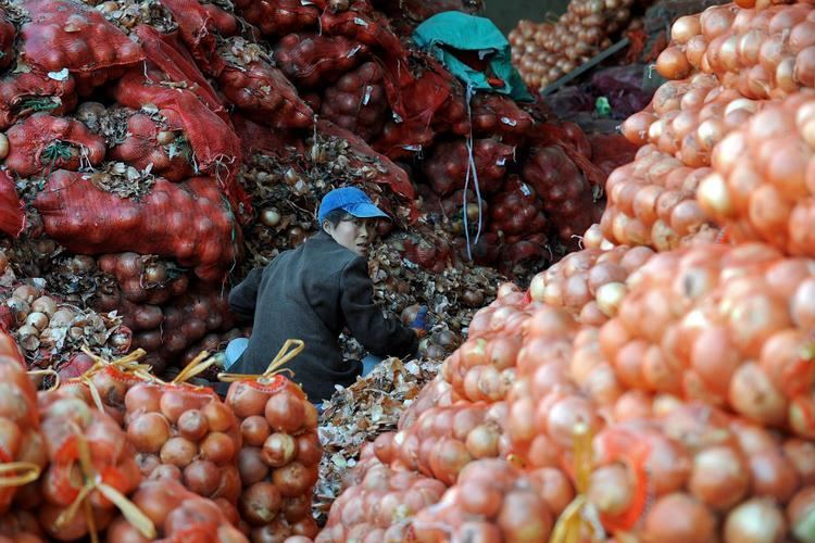 Vincent Kosuga Cornering the Onion Market and Getting Away With It Flashback