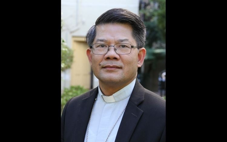 Vincent Long Van Nguyen Pope taps former Vietnamese boat refugee to lead Australian diocese