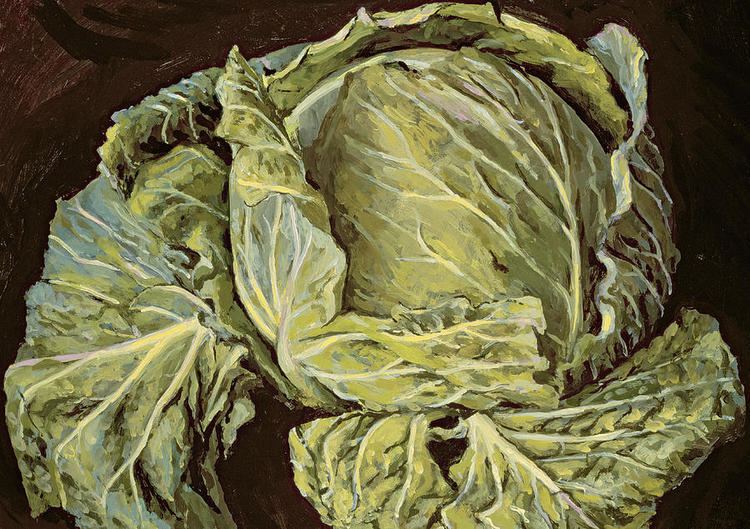 Vincent Yorke Cabbage Still Life Painting by Vincent Yorke