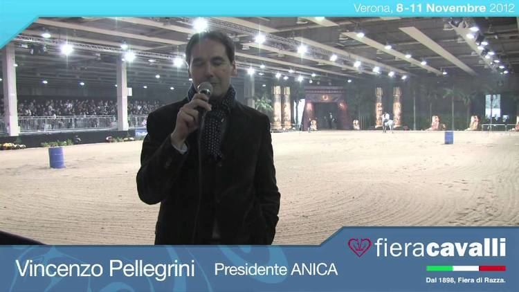 Vincenzo Pellegrini Intervista a Vincenzo Pellegrini presidente ANICA YouTube