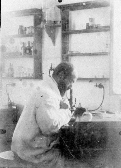 Vincenzo Tiberio Vincenzo Tiberio un medico molisano che prima di Fleming