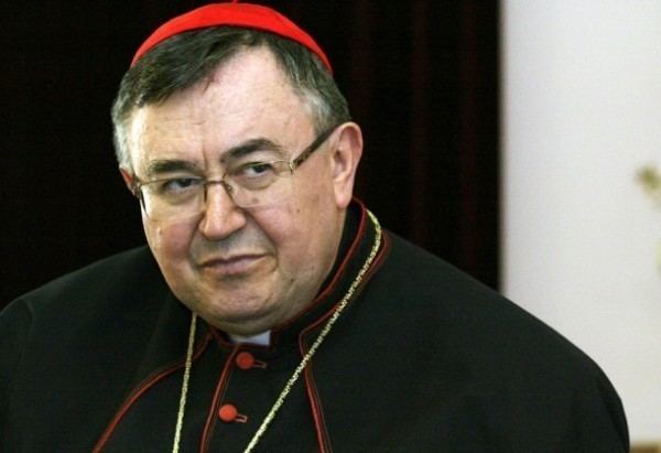 Vinko Puljić Kardinal Vinko Pulji 39Bosna i Hercegovina je nakaradna drava