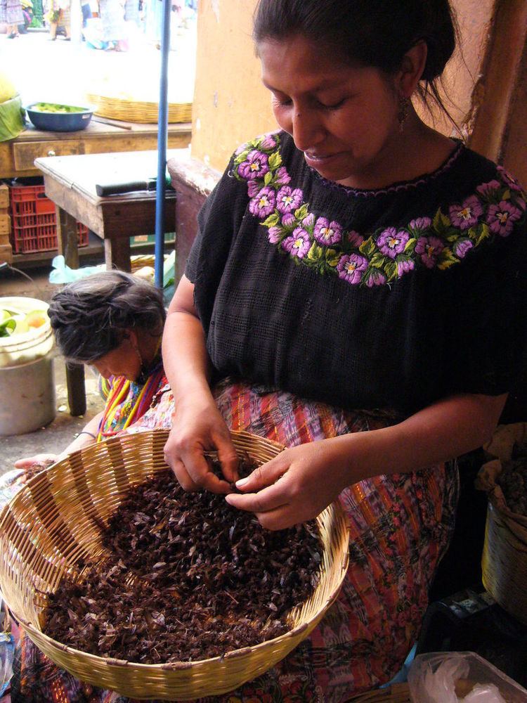 Violence against women in Guatemala