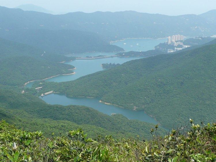 Violet Hill (Hong Kong) WEBS OF SIGNIFICANCE A scenic Violet Hill hike Photoessay
