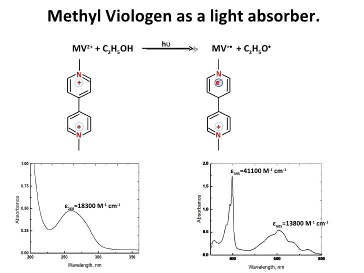 Viologen Electron transfer between methyl viologen radicals and graphene oxide
