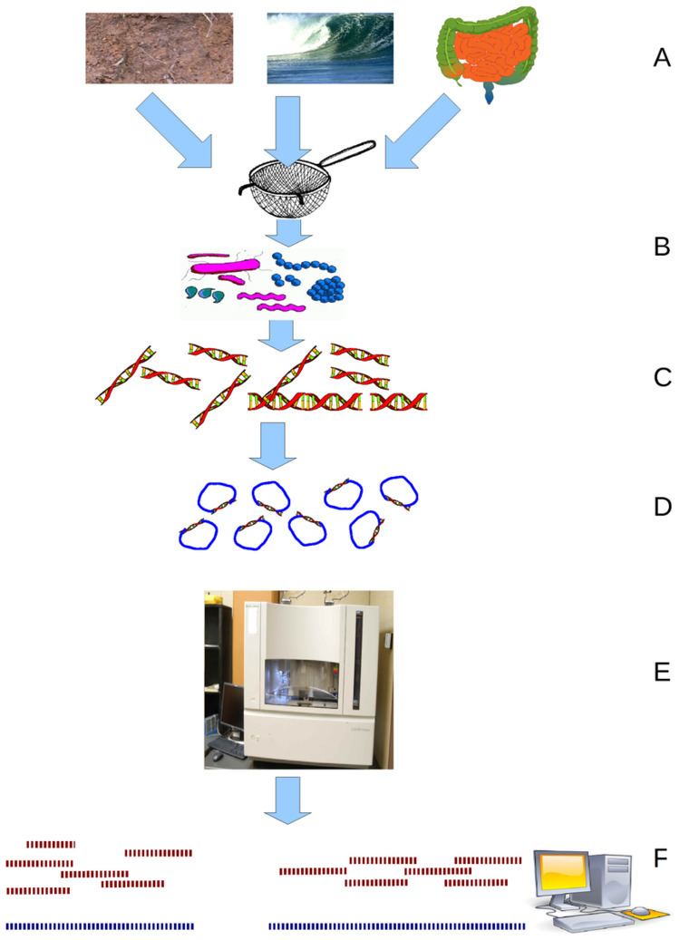 Viral metagenomics