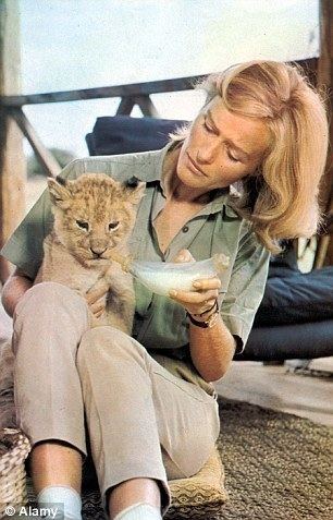 Virginia McKenna Born Free actress Virginia McKenna reveals how 30 years on shes