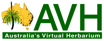 Virtual herbarium wwwchahgovauchahavhAVHlogowebgif